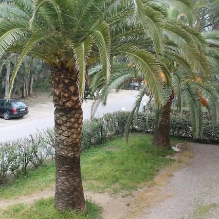 T2 Calvi Entierement Equipe A 150M De La Plage. Luaran gambar